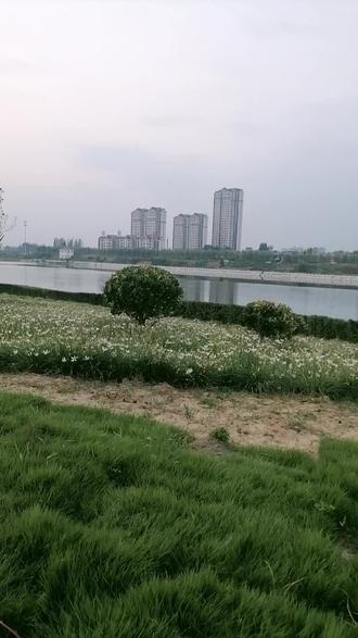 泌阳县滨湖小镇有人约吗