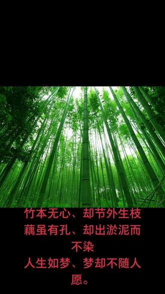 竹本无心却节外生枝藕虽有孔却出淤泥而不染人生如梦梦却不随人愿