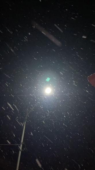 他朝若是同淋雪此生也算共白头