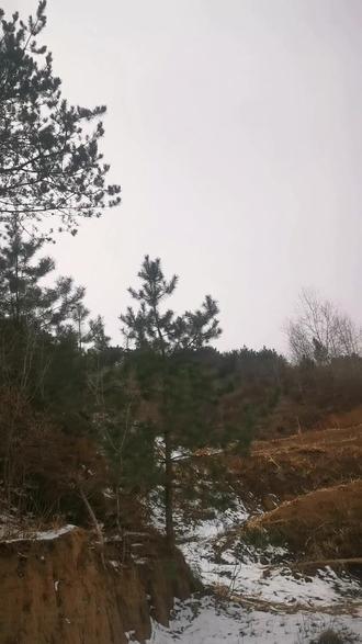 图斑是什么工作 f41f830aafde4df9b7114a7636b51ac7_1648021358~tplv-dy-resize-origshort-autoq-75:330.jpeg?x-expires=1998738000&x-signature=QYPIma%2BwrdKmwKlnG5RL1qNfwkc%3D&from=3213915784&s=PackSourceEnum_AWEME_DETAIL&se=false&sc=cover&biz_tag=pcweb_cover&l=2023050621231784C335948754962C0D32