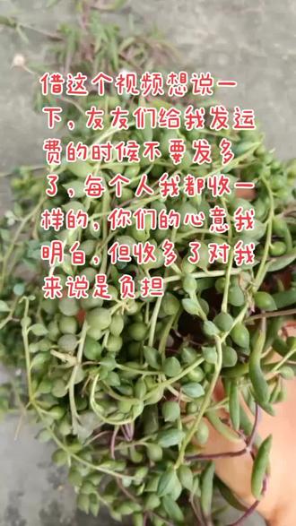 免费试用的平台有哪些 ocfBTTTyBAozAXUBhOhroeYBN2NtI2lXApTgEz~tplv-dy-resize-origshort-autoq-75:330.jpeg?x-expires=2002316400&x-signature=G8fZ%2FAkPZ%2BThyiuzuFNxOLoSeb4%3D&from=3213915784&s=PackSourceEnum_AWEME_DETAIL&se=false&sc=cover&biz_tag=pcweb_cover&l=20230617073015FAC87E2745695A4294F9